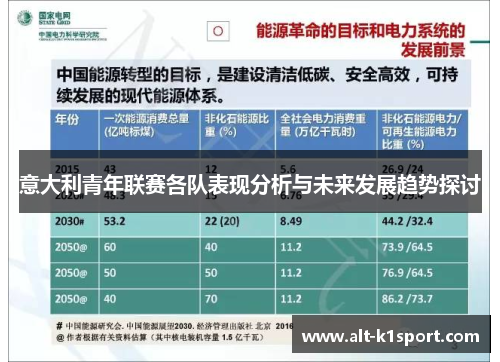 意大利青年联赛各队表现分析与未来发展趋势探讨