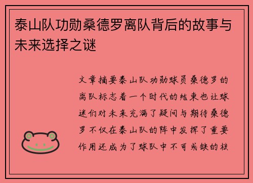 泰山队功勋桑德罗离队背后的故事与未来选择之谜